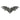 CREATURE OF THE NIGHT BAT PIN