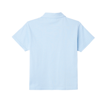 231090005 JONES BUTTON DOWN SKY