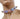SPIKE RAINBOW CHOKER