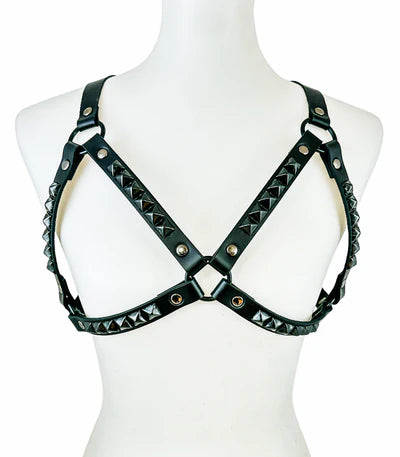 BRA HARNESS