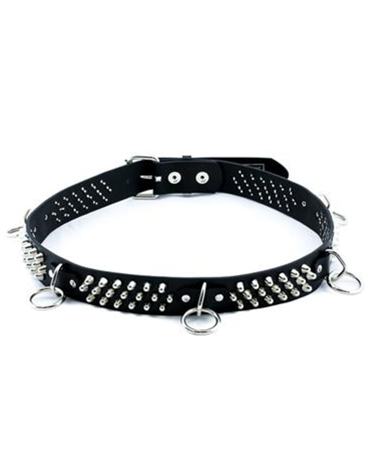 D Ring and Studded Belt